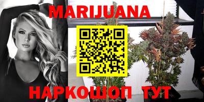 дмт Владимир