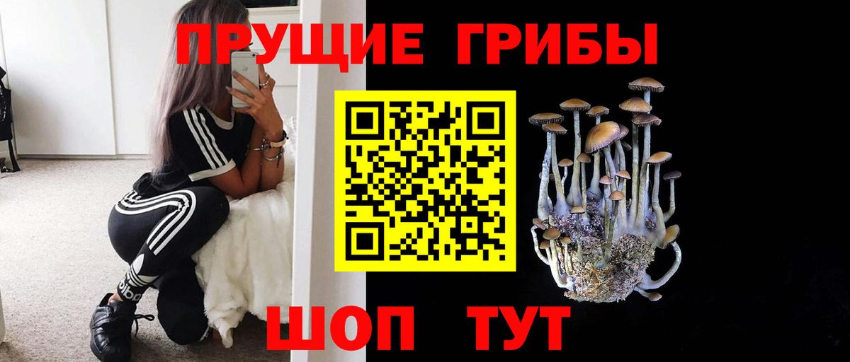 Галлюциногенные грибы мицелий Павлово