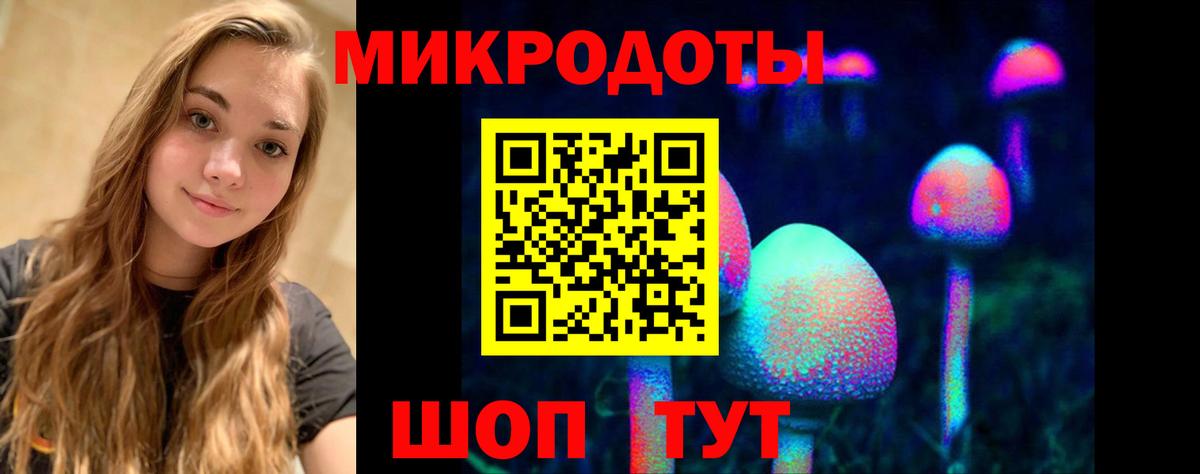 Павлово  Псилоцибиновые грибы Magic Shrooms  Вход с VPN  Псилоцибиновые грибы прущие грибы 