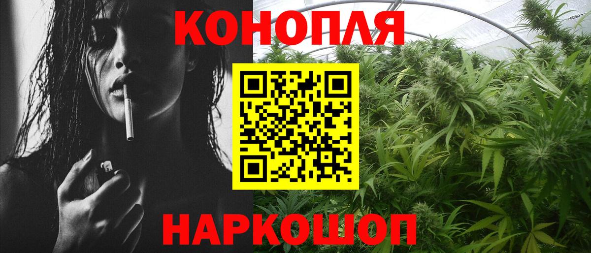 Конопля план Павлово